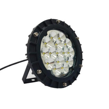 High Protective LED Highbay Light (BEZ 220/30 55 Y)